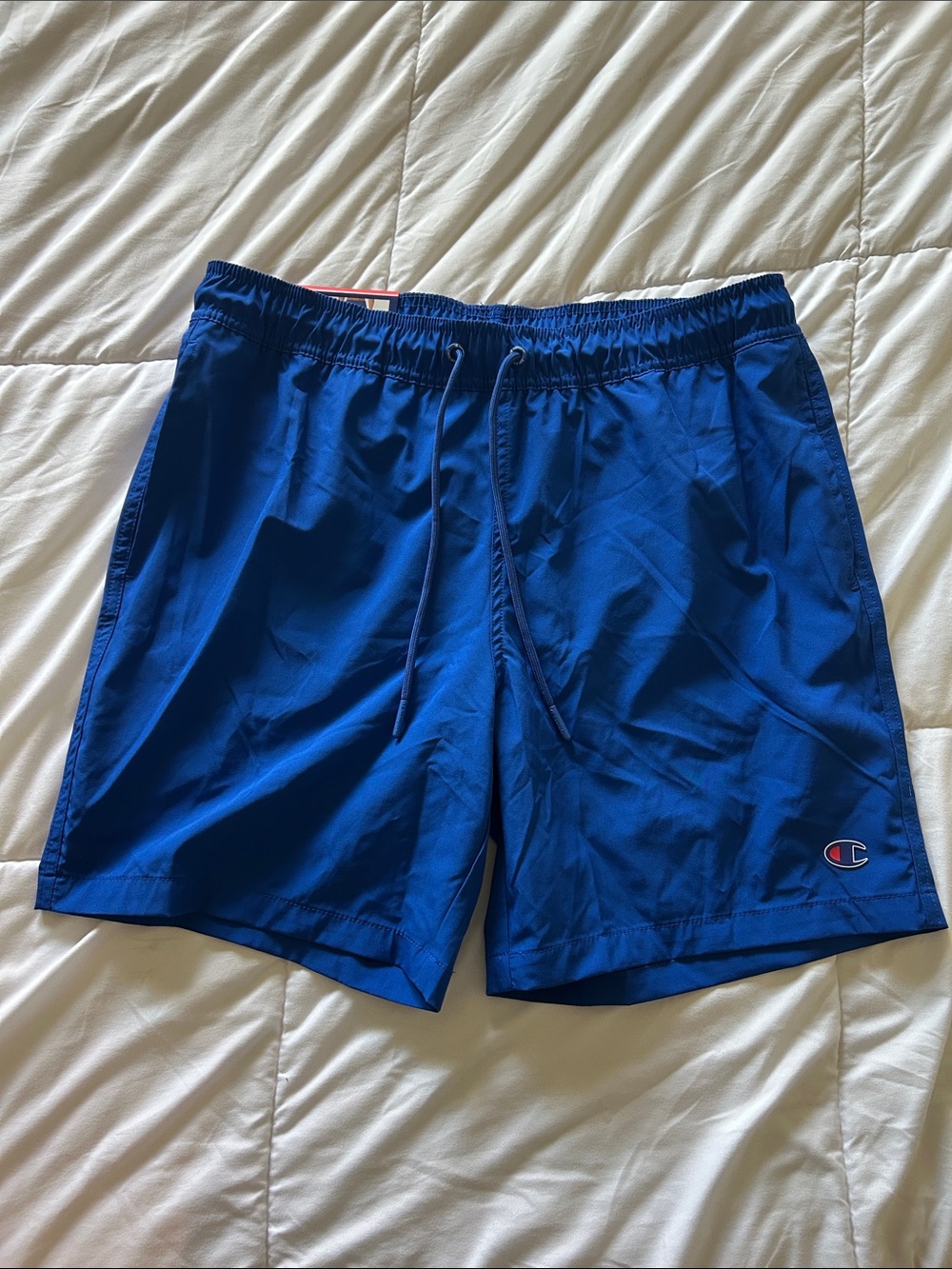 Champion Blue Men’s Swim Trunks with Logo